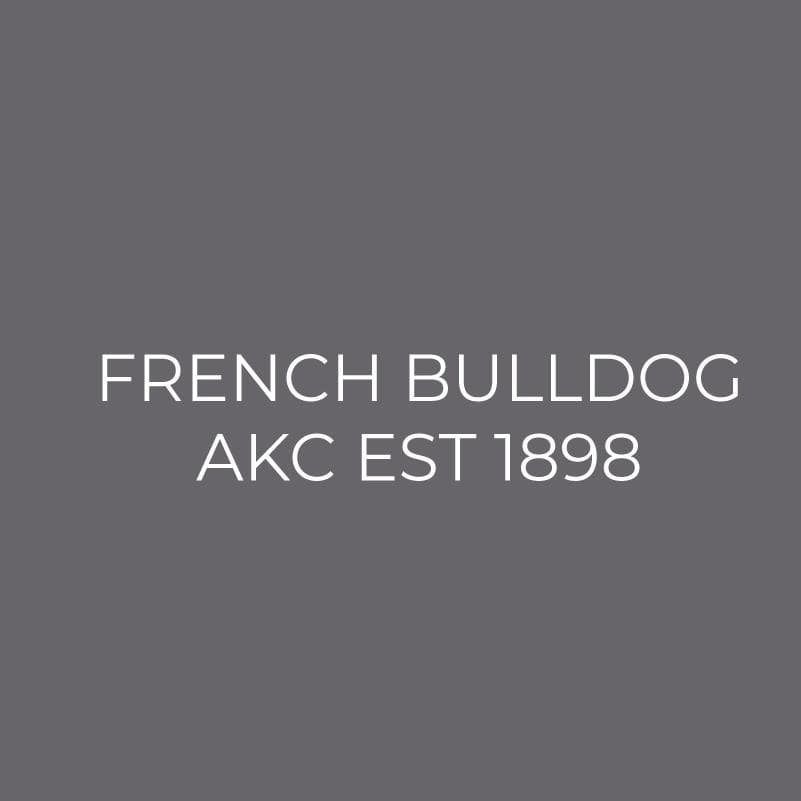 Embroidered AKC Polo - French Bulldog