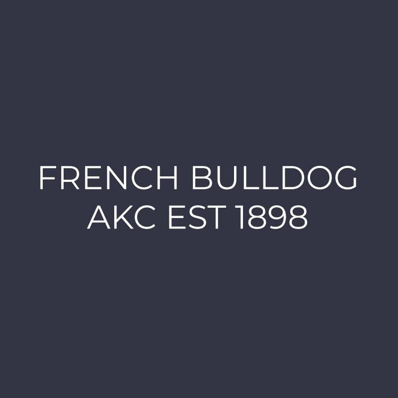 French Bulldog Embroidered AKC Women's Polo