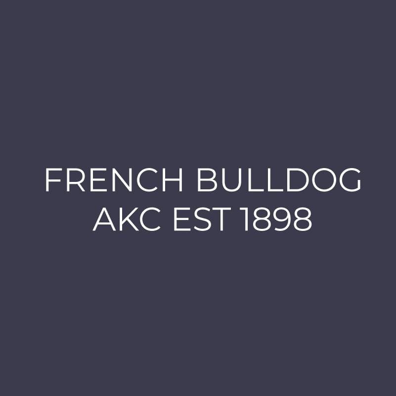 Embroidered AKC Polo - French Bulldog