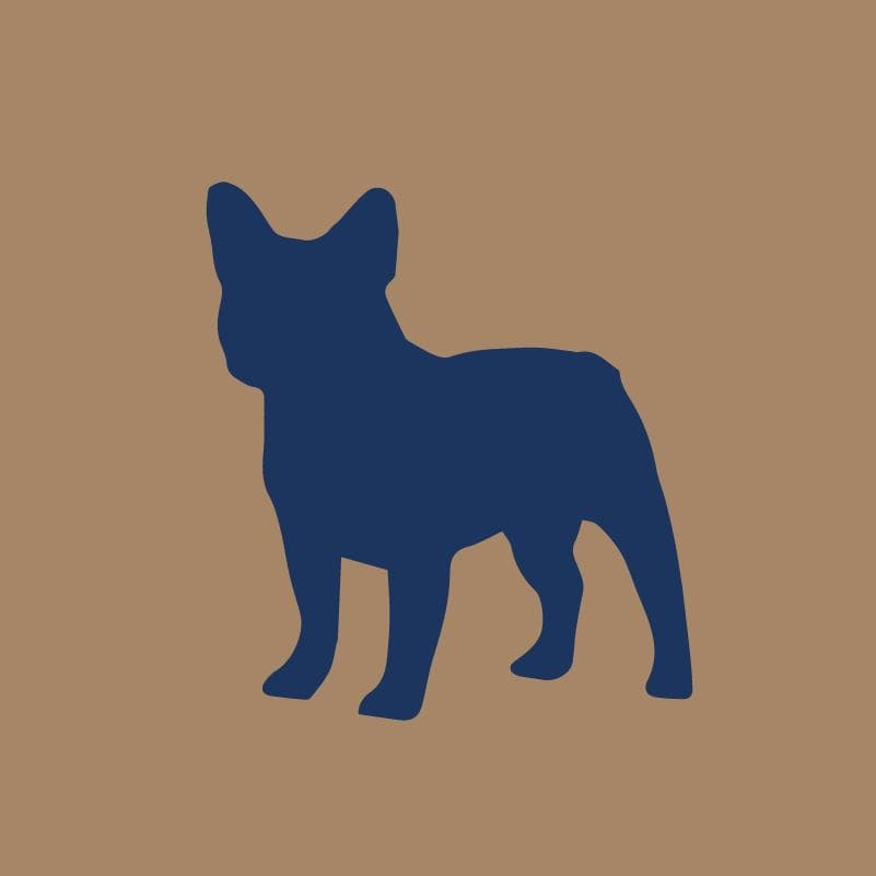Embroidered Visor - French Bulldog