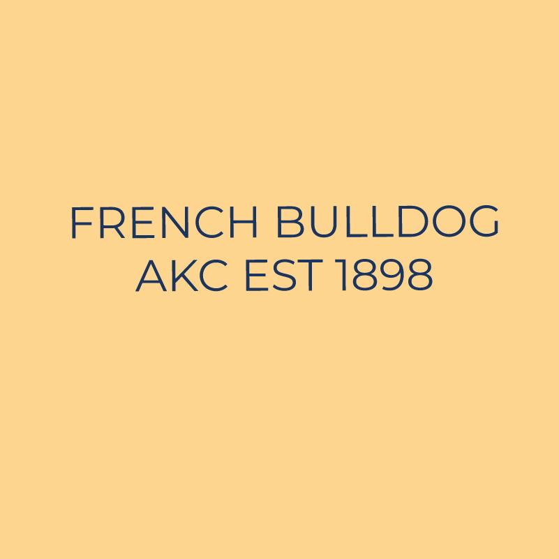 Embroidered AKC Quarter Zip - French Bulldog