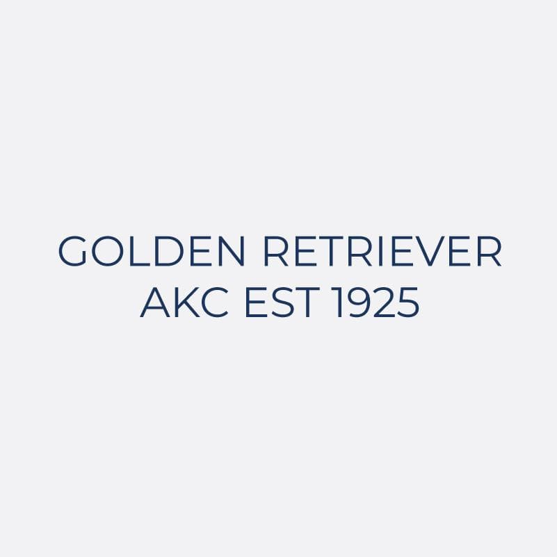 Embroidered AKC Women's Polo - Golden Retriever