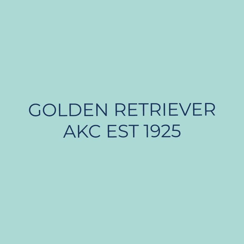 Embroidered AKC Quarter Zip - Golden Retriever