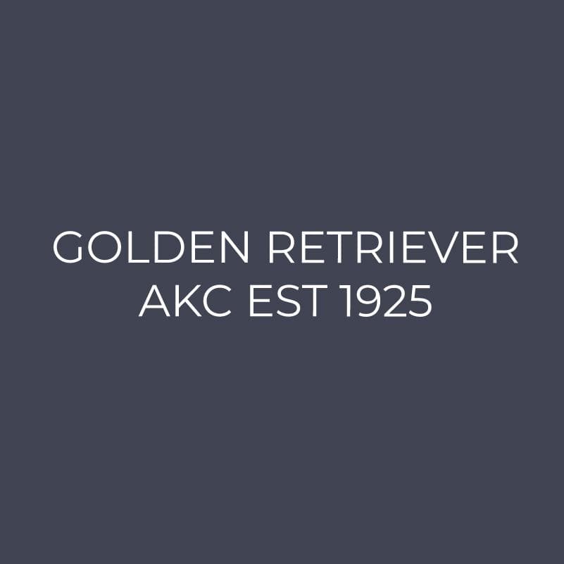 Embroidered AKC Quarter Zip - Golden Retriever