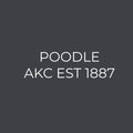 Poodle Embroidered AKC Women's Polo