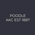 Poodle Embroidered AKC Men's Polo
