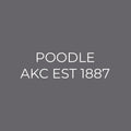 Poodle Embroidered AKC Men's Polo