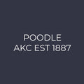 Poodle Embroidered AKC Women's Polo