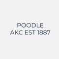 Poodle Embroidered AKC Women's Polo