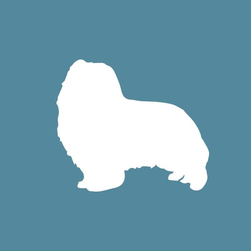 Embroidered Visor - Shetland Sheepdog