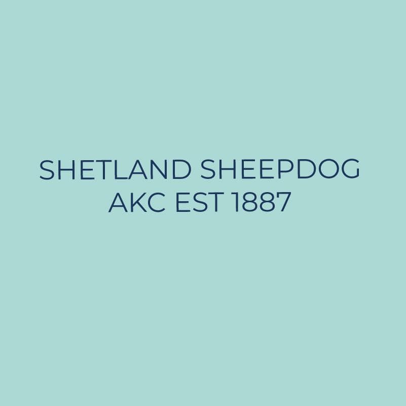 Embroidered AKC Quarter Zip - Shetland Sheepdog