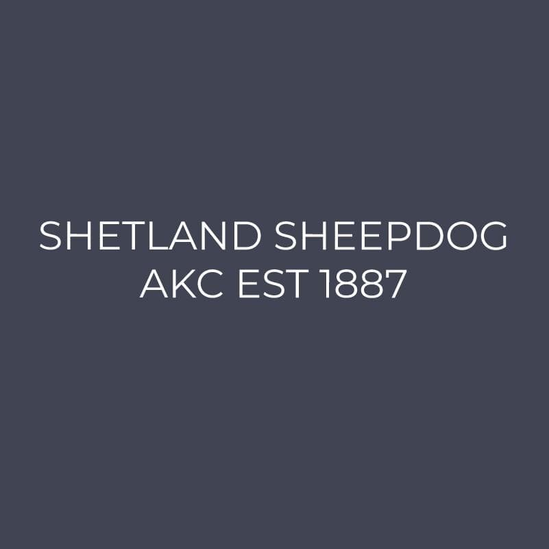 Embroidered AKC Quarter Zip - Shetland Sheepdog