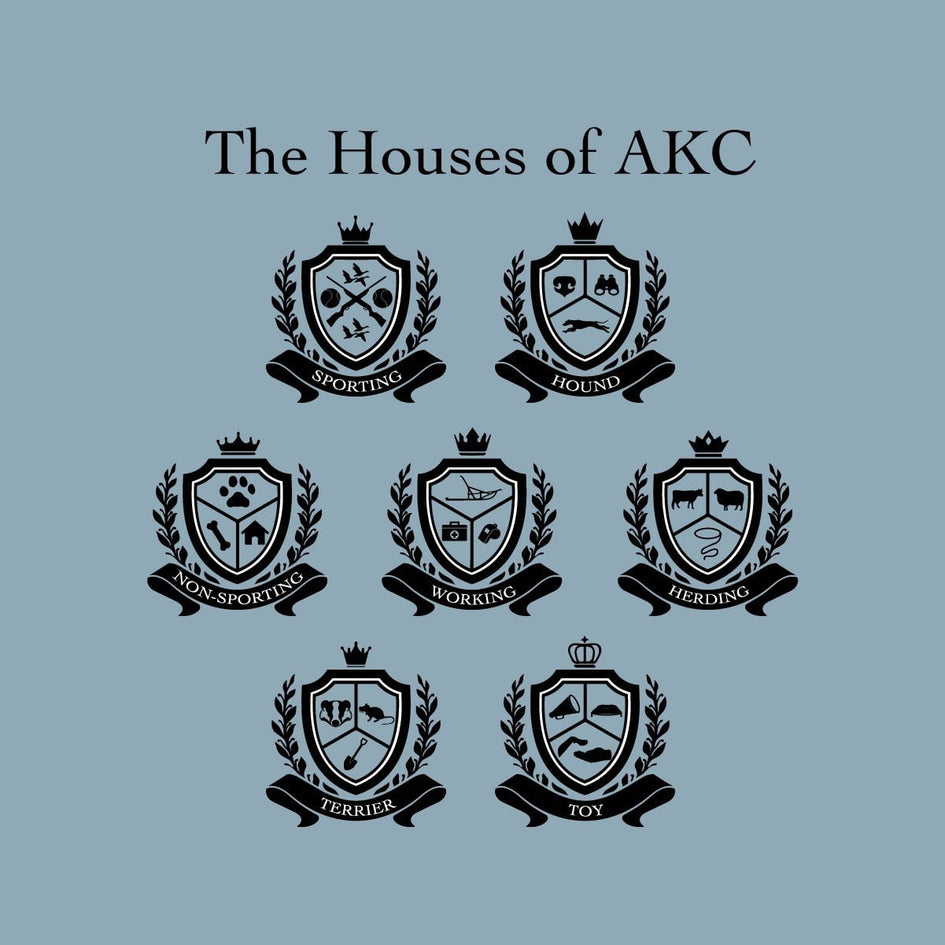 Houses of AKC - Classic Short Sleeve T-shirt