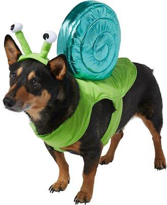 Frisco Snail Dog Costume