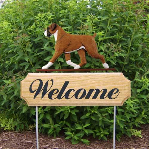 Michael Park Dog In Gait Welcome Stake Boxer