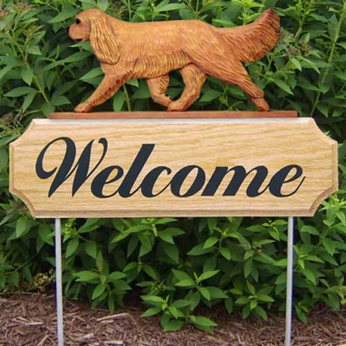Michael Park Dog In Gait Welcome Stake Cavalier King Charles Spaniel