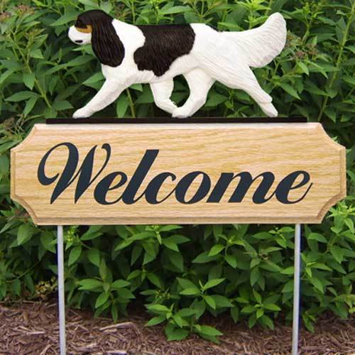 Michael Park Dog In Gait Welcome Stake Cavalier King Charles Spaniel