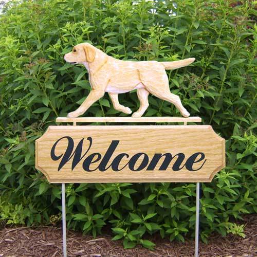 Michael Park Dog In Gait Welcome Stake Labrador Retriever