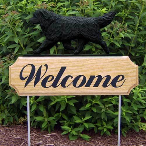 Michael Park Dog In Gait Welcome Stake Newfoundland