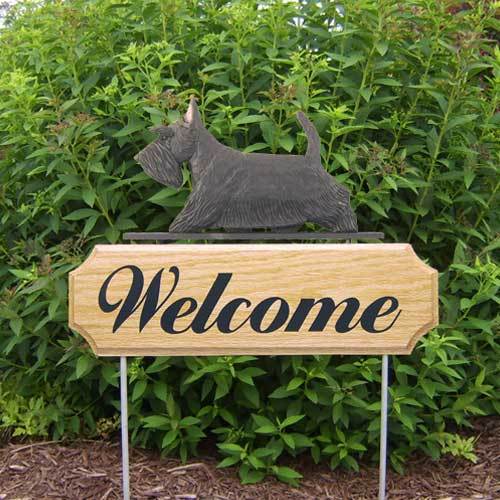 Michael Park Dog In Gait Welcome Stake Scottish Terrier