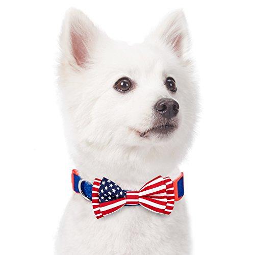 American Flag Bowtie Blue Dog Collar