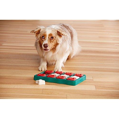 Brick Treat Puzzle Dog Toy