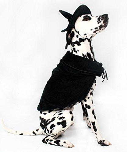 Halloween Witch Cape and Hat Dog Costume