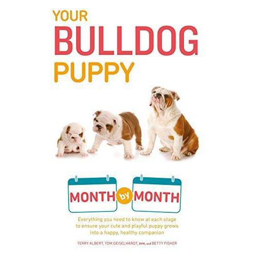 Your Bulldog Puppy: Month by Month