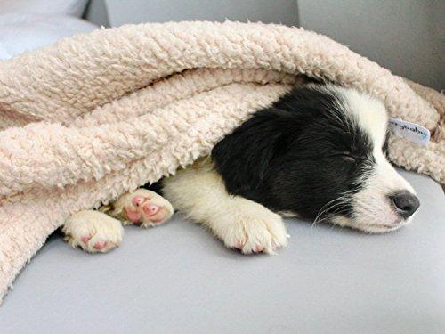 Premium Fluffy Fleece Dog Blanket