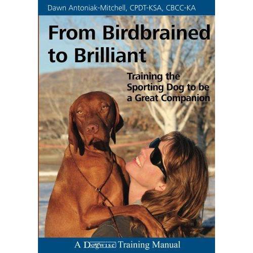 From Birdbrained to Brilliant: Training the Sporting Dog to Be a Great Companion