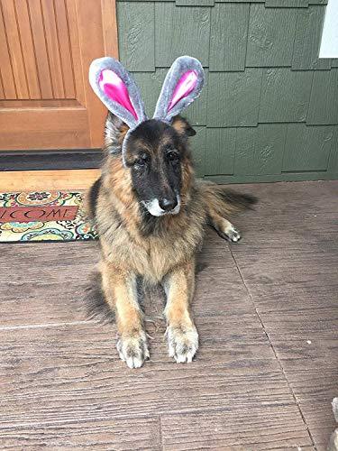 Easter Bunny Gray & Pink Ears Dog Headband
