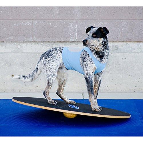 FitPAWS 20 in. Canine Wobble Board