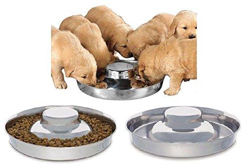 Stainless Steel Puppy Feeding Dog Bowl