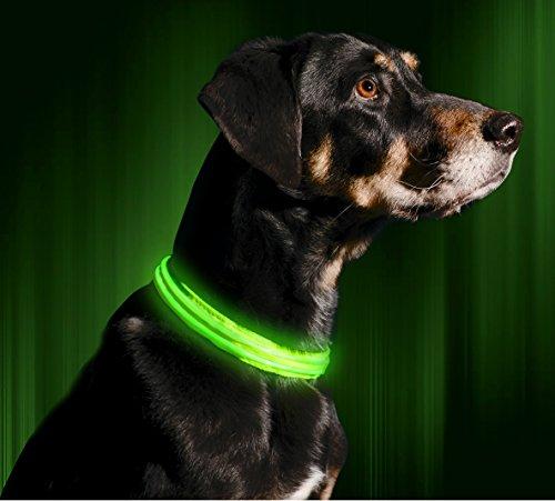 forskellige London uld LED Dog Collar | AKC Shop