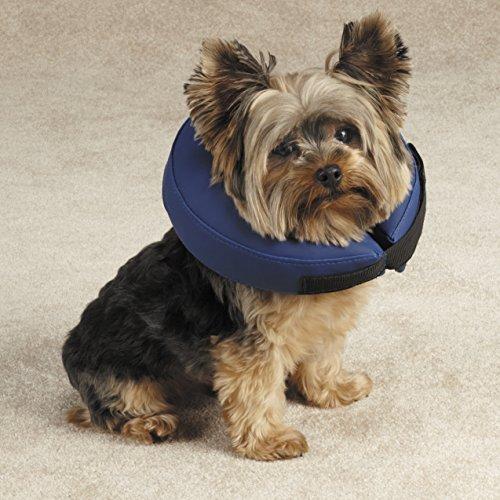 Inflatable Dog Collar