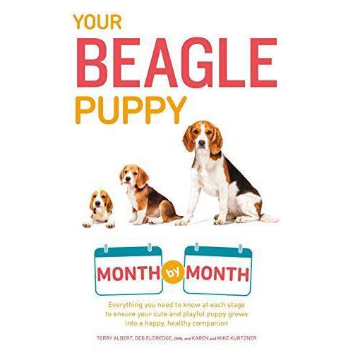 Your Beagle Puppy: Month by Month