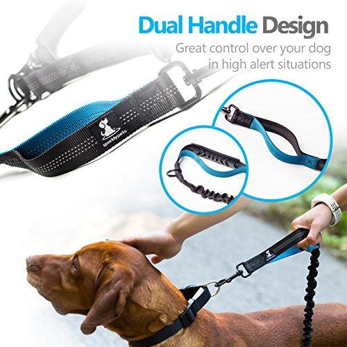 Hands Free Dog Leash for Medium and Large Dogs