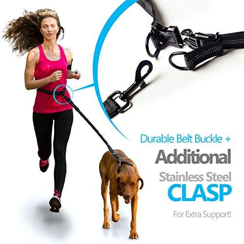Hands Free Dog Leash for Medium and Large Dogs