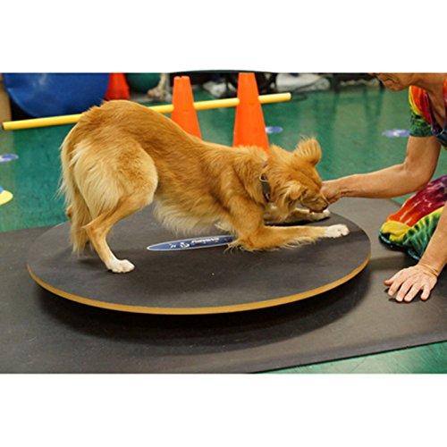 FitPAWS 20 in. Canine Wobble Board