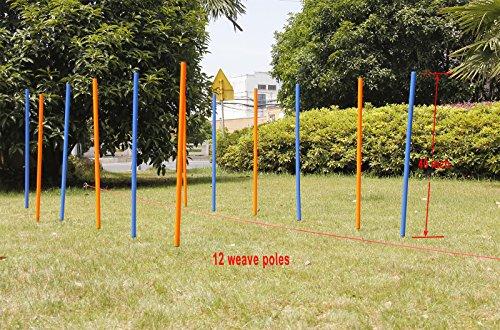 Agility Training Weave Poles - 12 Pole Set
