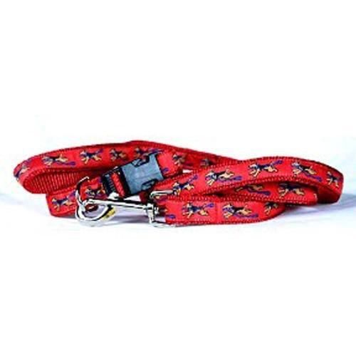 Welsh Terrier Collar and Leash Set