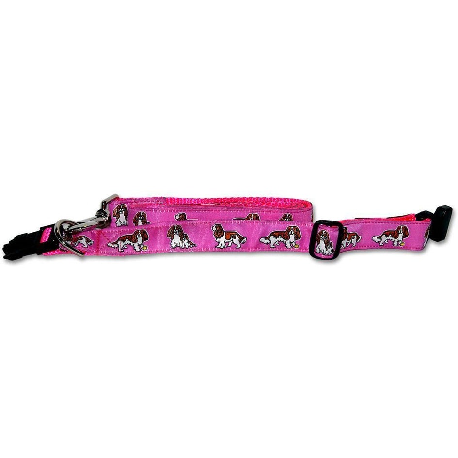 Personalized Dog Collar Leash Set Nylon Outdoor Dogs Necklace