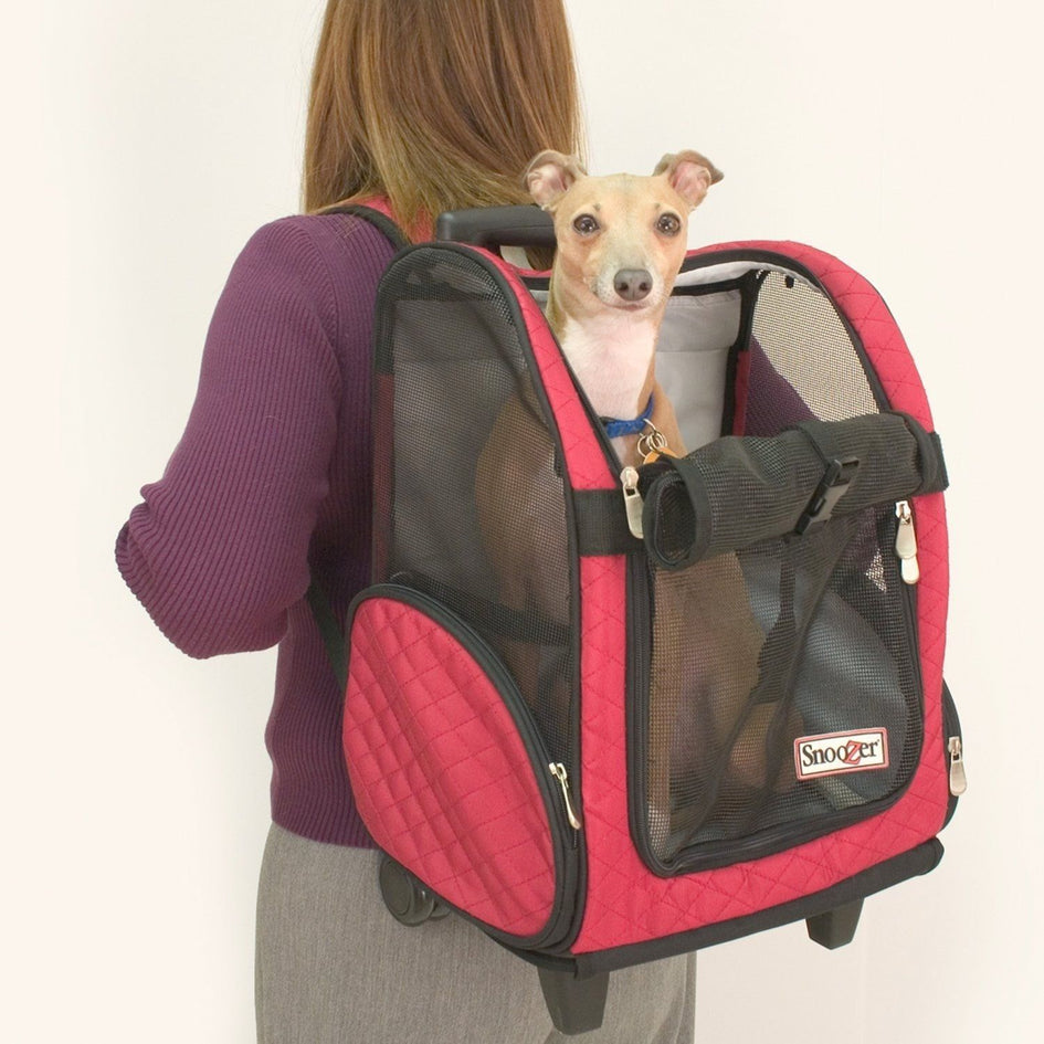 Pet Backpacks Supplies  Pet backpack, Dog clothes, Dog sweaters