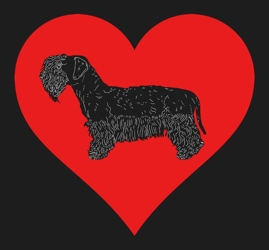 Cesky Terrier on Heart Left Chest - Unisex Full-Zip Hoodie Sweatshirt