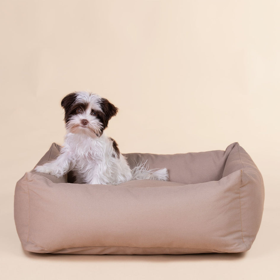 PAIKKA Conscious Dog Bed Taupe
