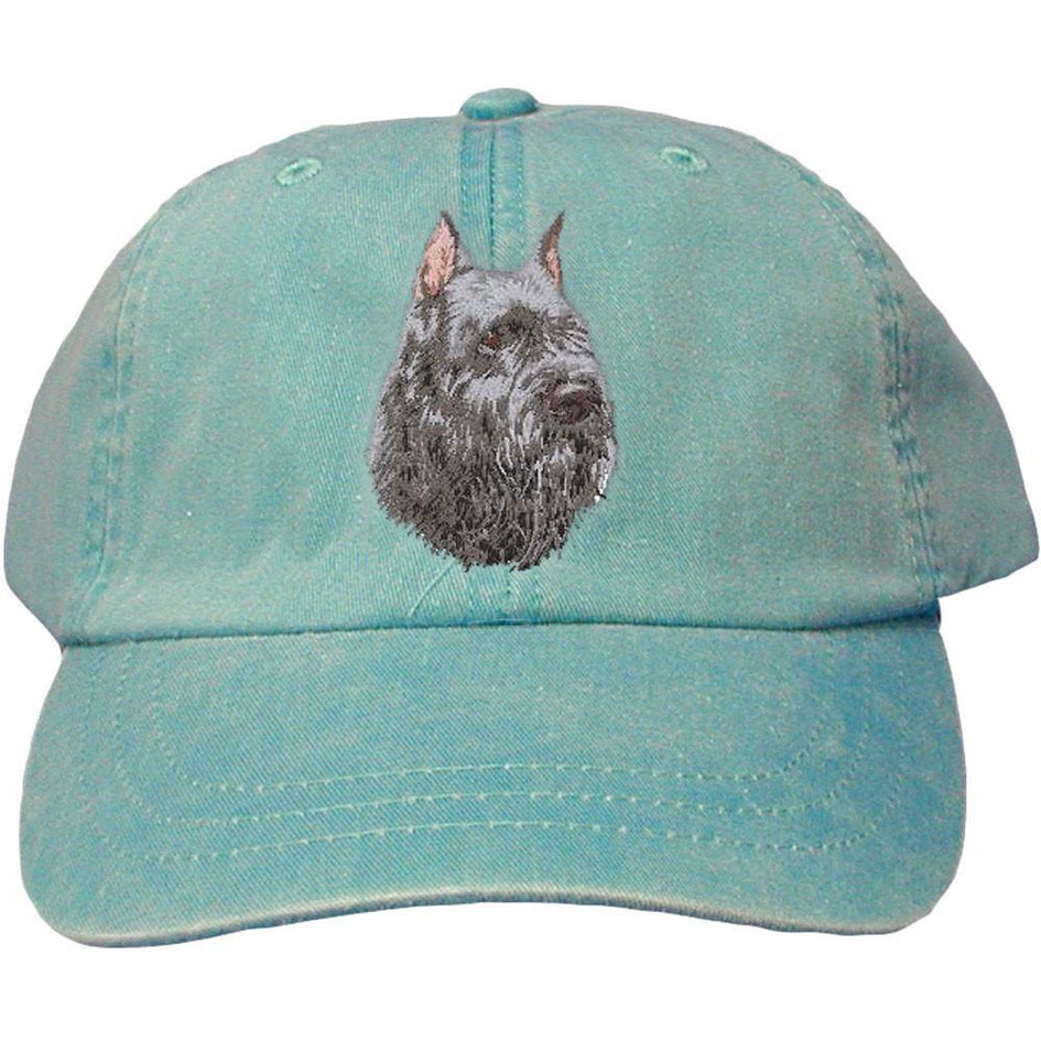 Embroidered Baseball Caps Turquoise  Bouvier des Flandres D105