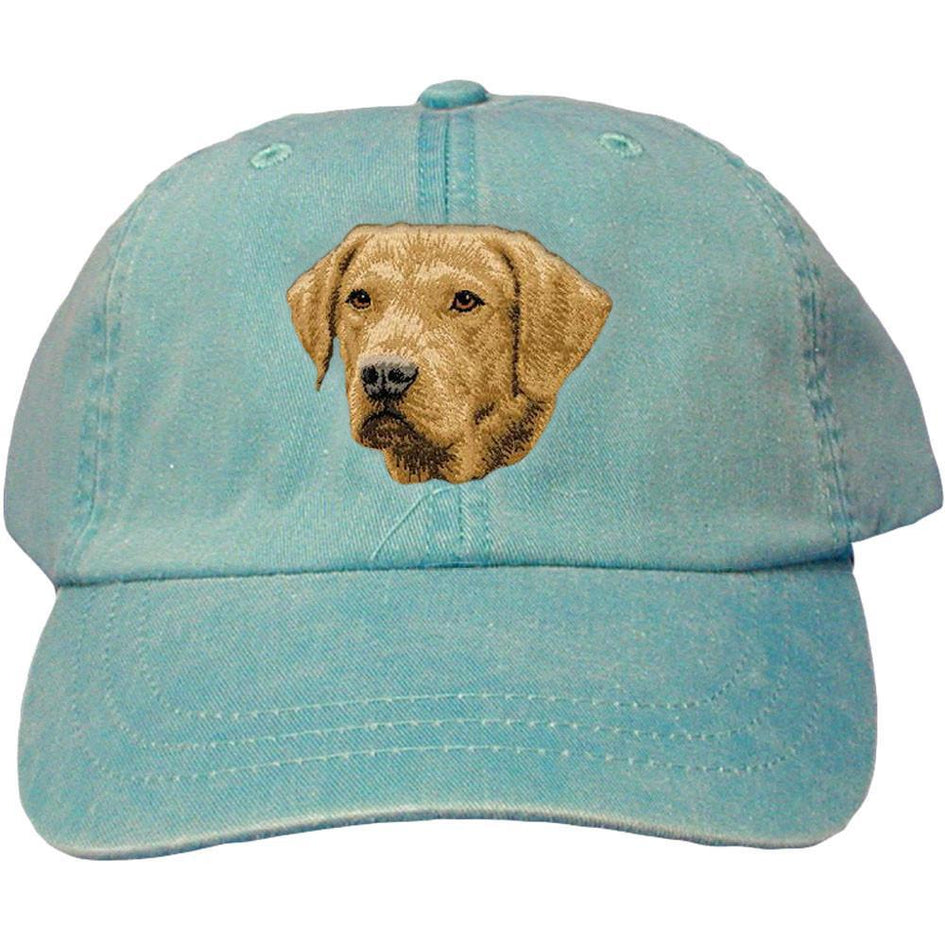 Embroidered Baseball Caps Turquoise  Chesapeake Bay Retriever D143