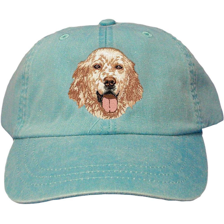 Embroidered Baseball Caps Turquoise  English Setter DV457