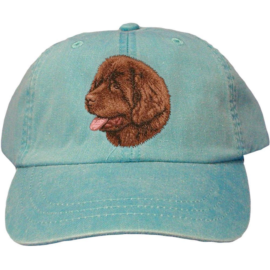 Embroidered Baseball Caps Turquoise  Newfoundland D36