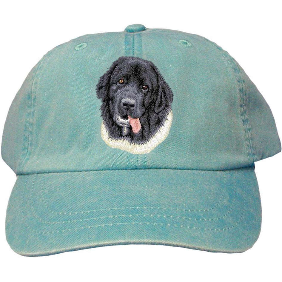 Embroidered Baseball Caps Turquoise  Newfoundland D73